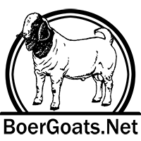 BoerGoats.Net